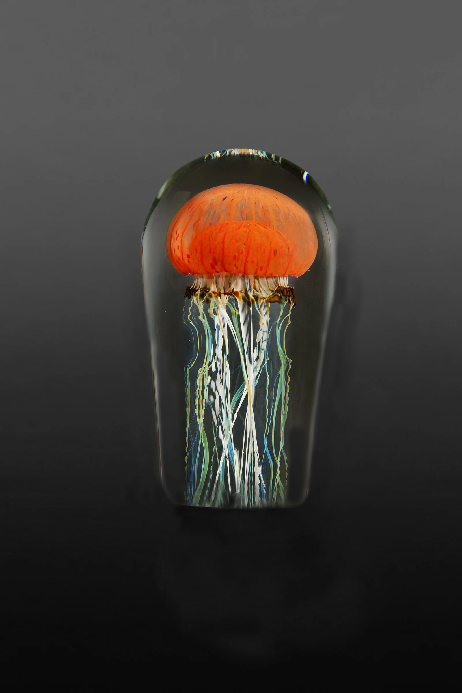 Pacific Coast Jellyfish Small - Without Light Base