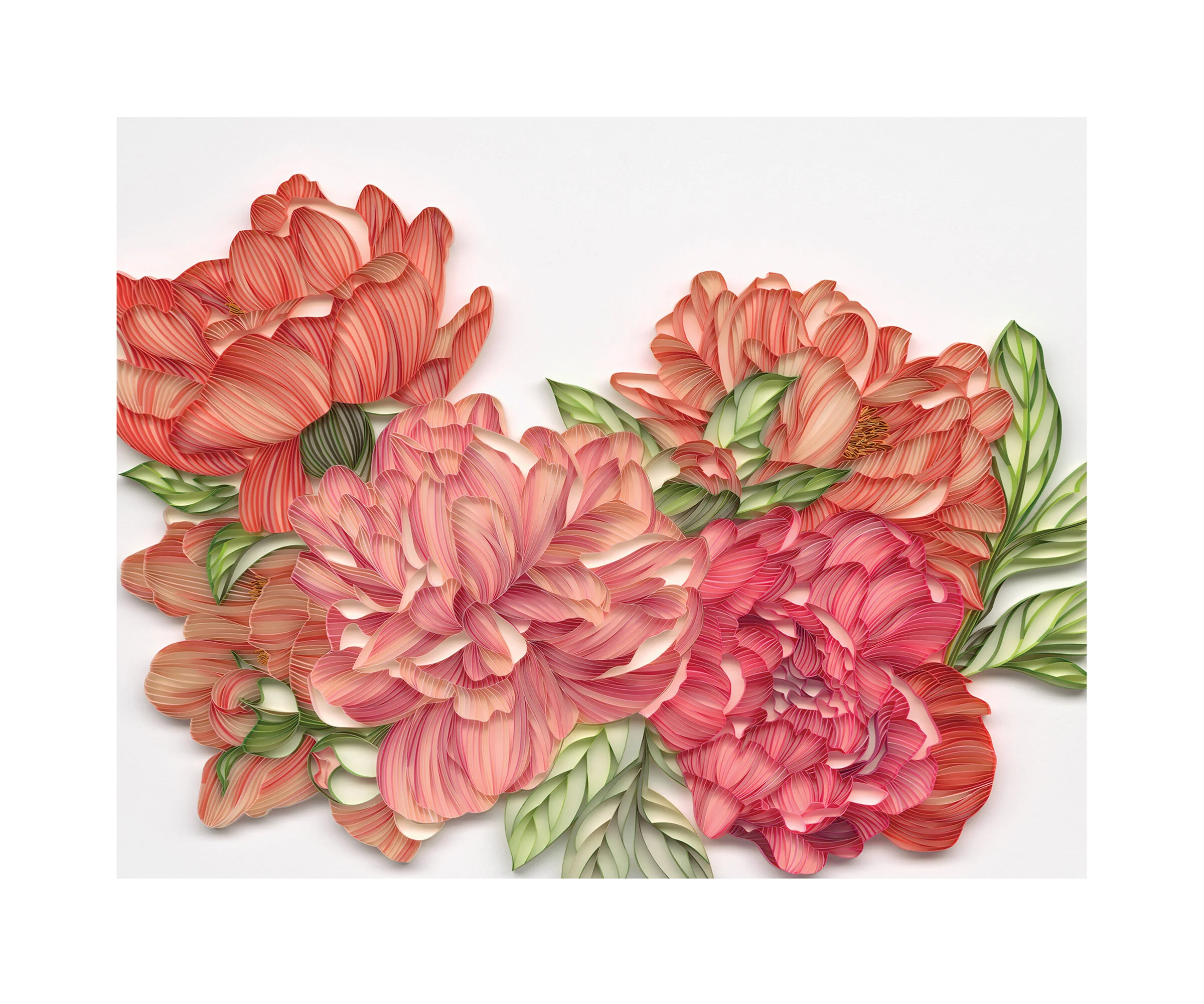 Peonies - Peonies
