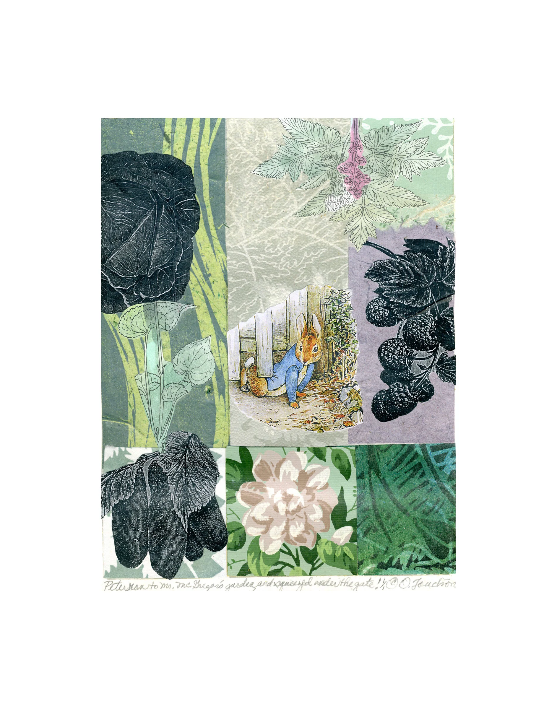 Peter Ran to Mr. McGregor's Garden and Squeezed Under the Gate - Beatrix Potter series, Peter Rabbit 5