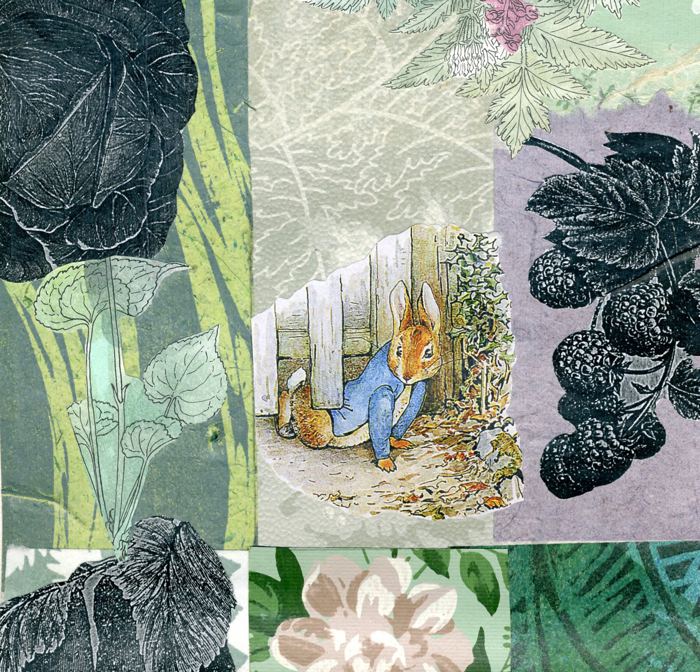Peter Ran to Mr. McGregor's Garden and Squeezed Under the Gate - Beatrix Potter series, Peter Rabbit 5 - Image 2