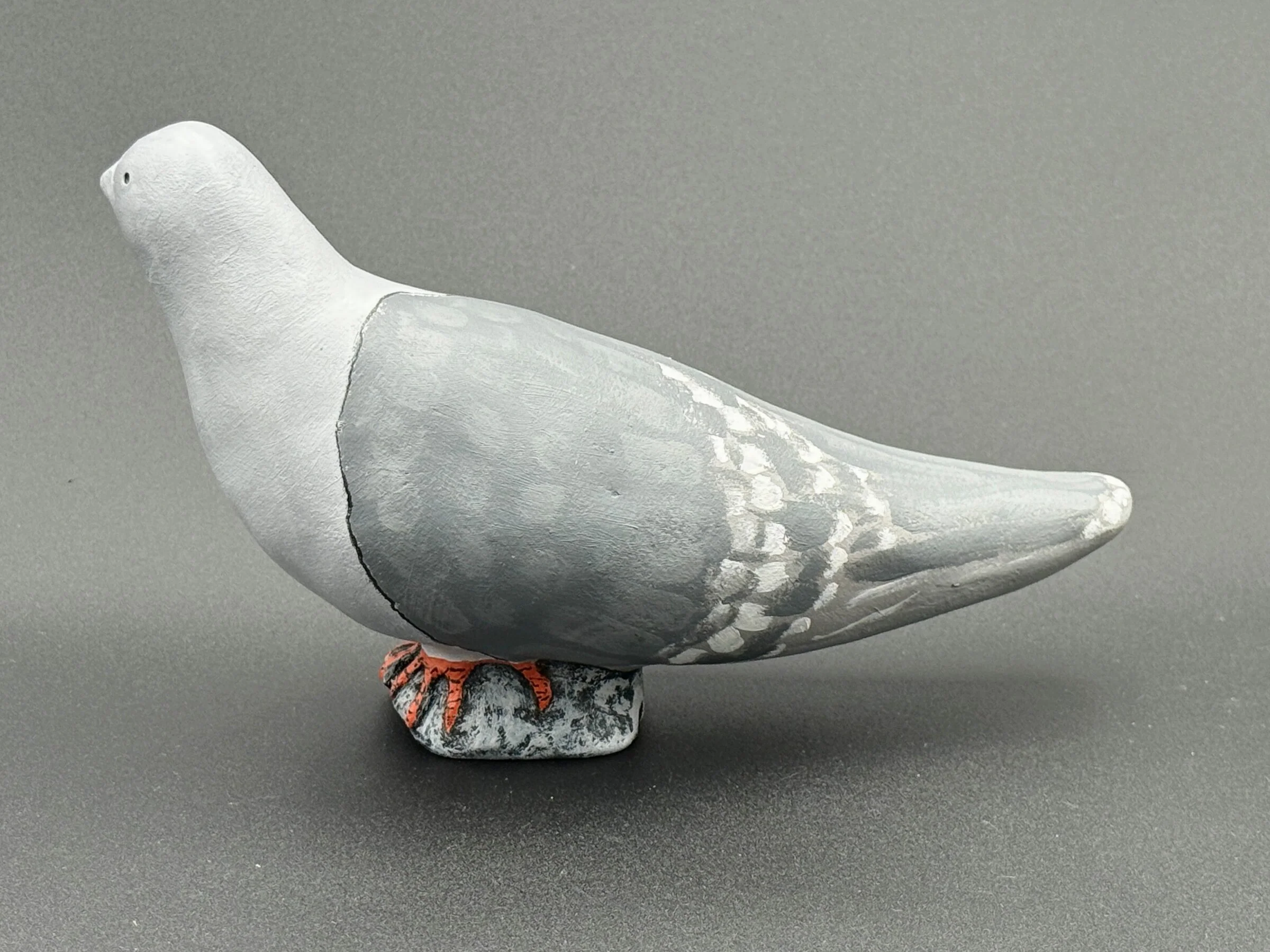 Pigeon, Pale Gray Head - Image 2