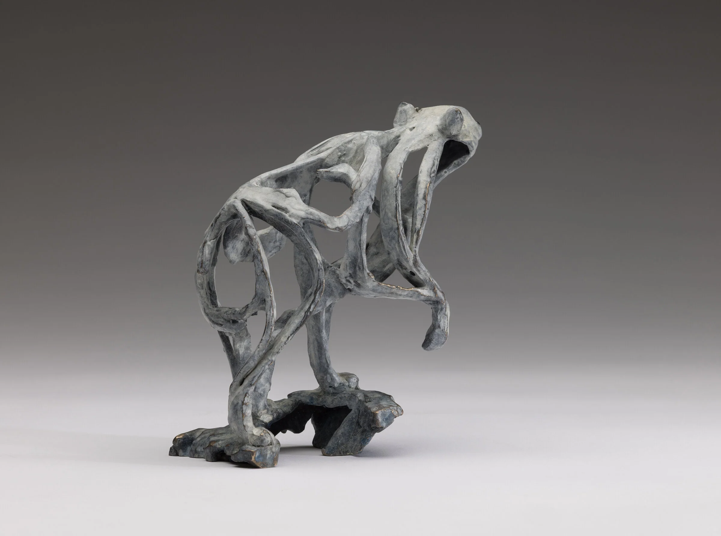 Polaris - Image 4