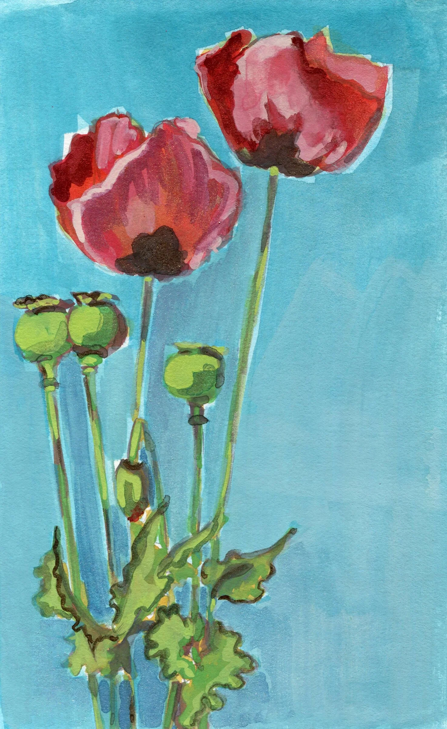 Poppy Layer IV