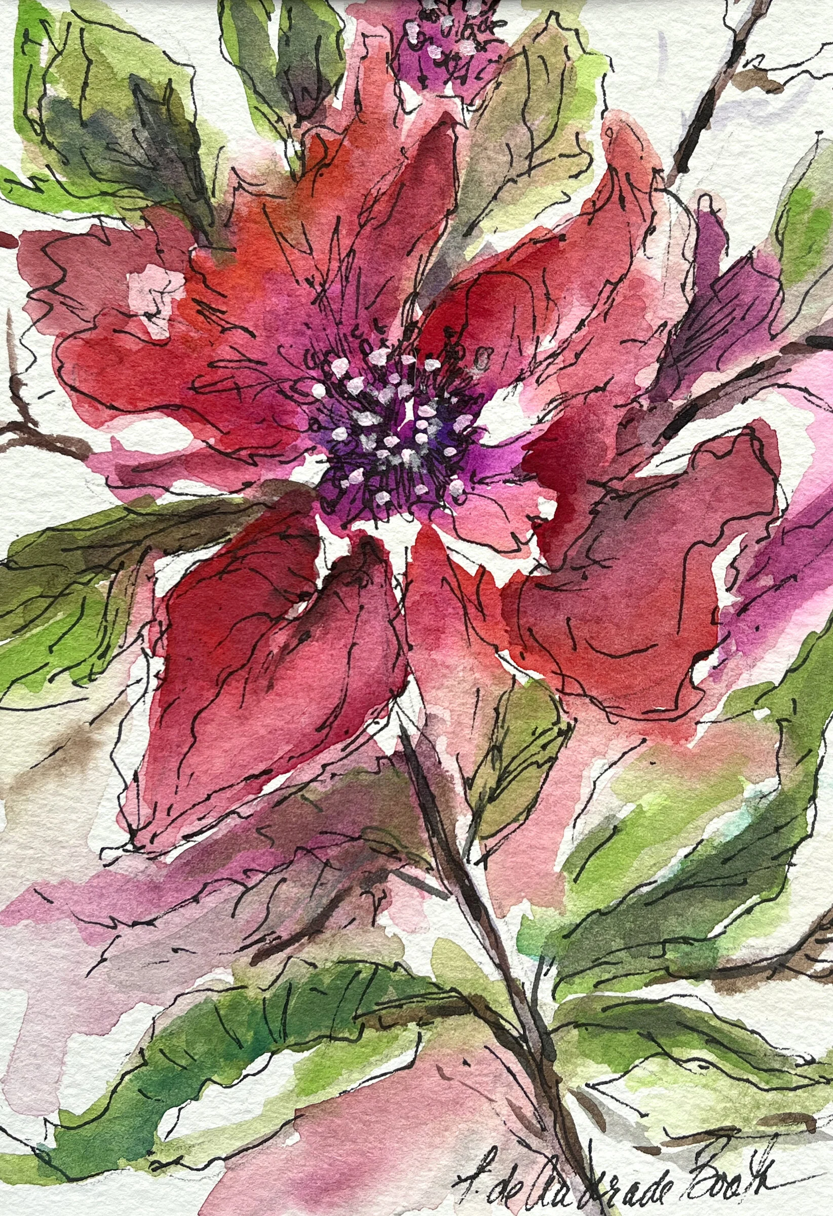 Poppy