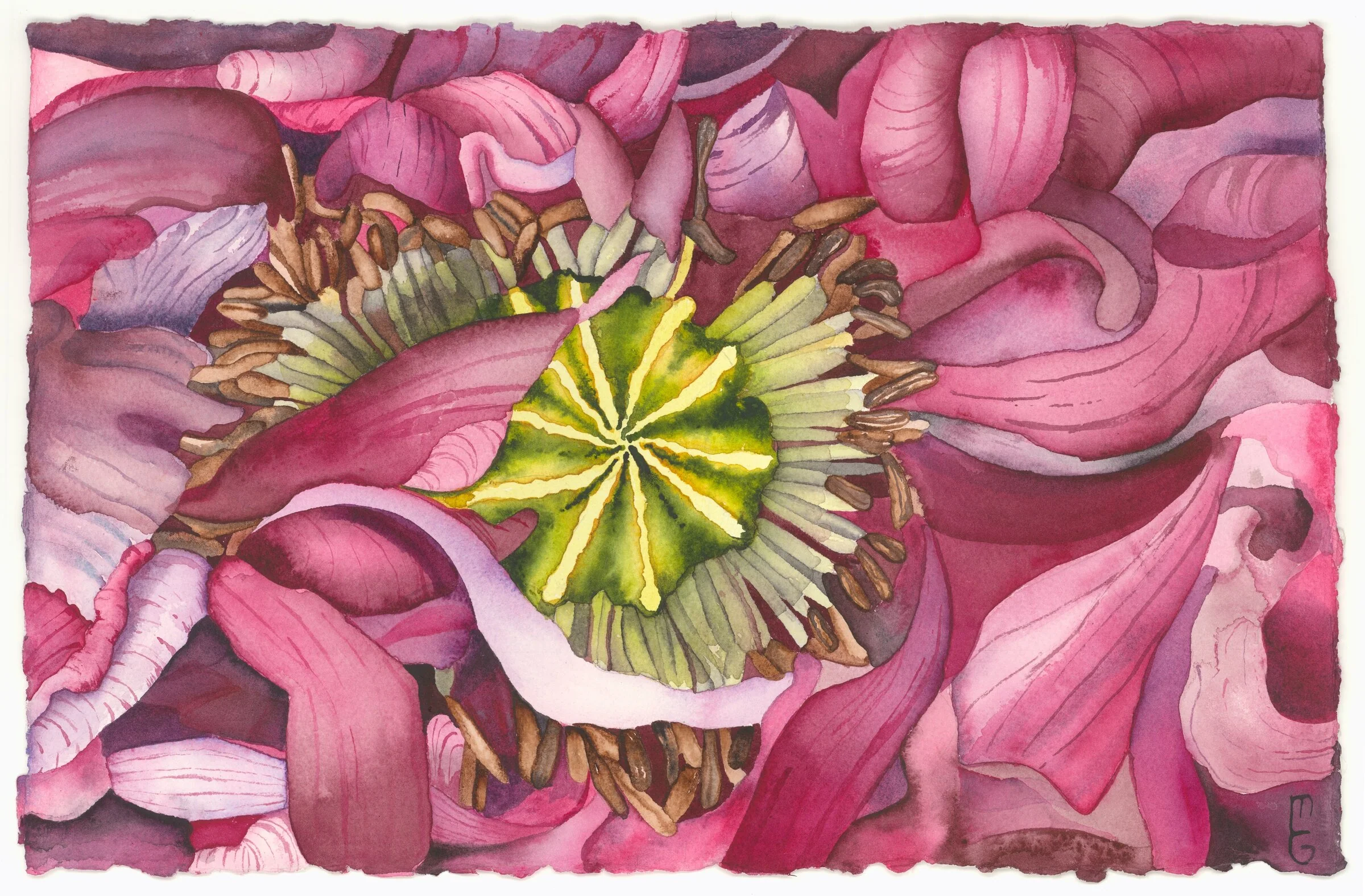 Queens Gift - Giclee Print