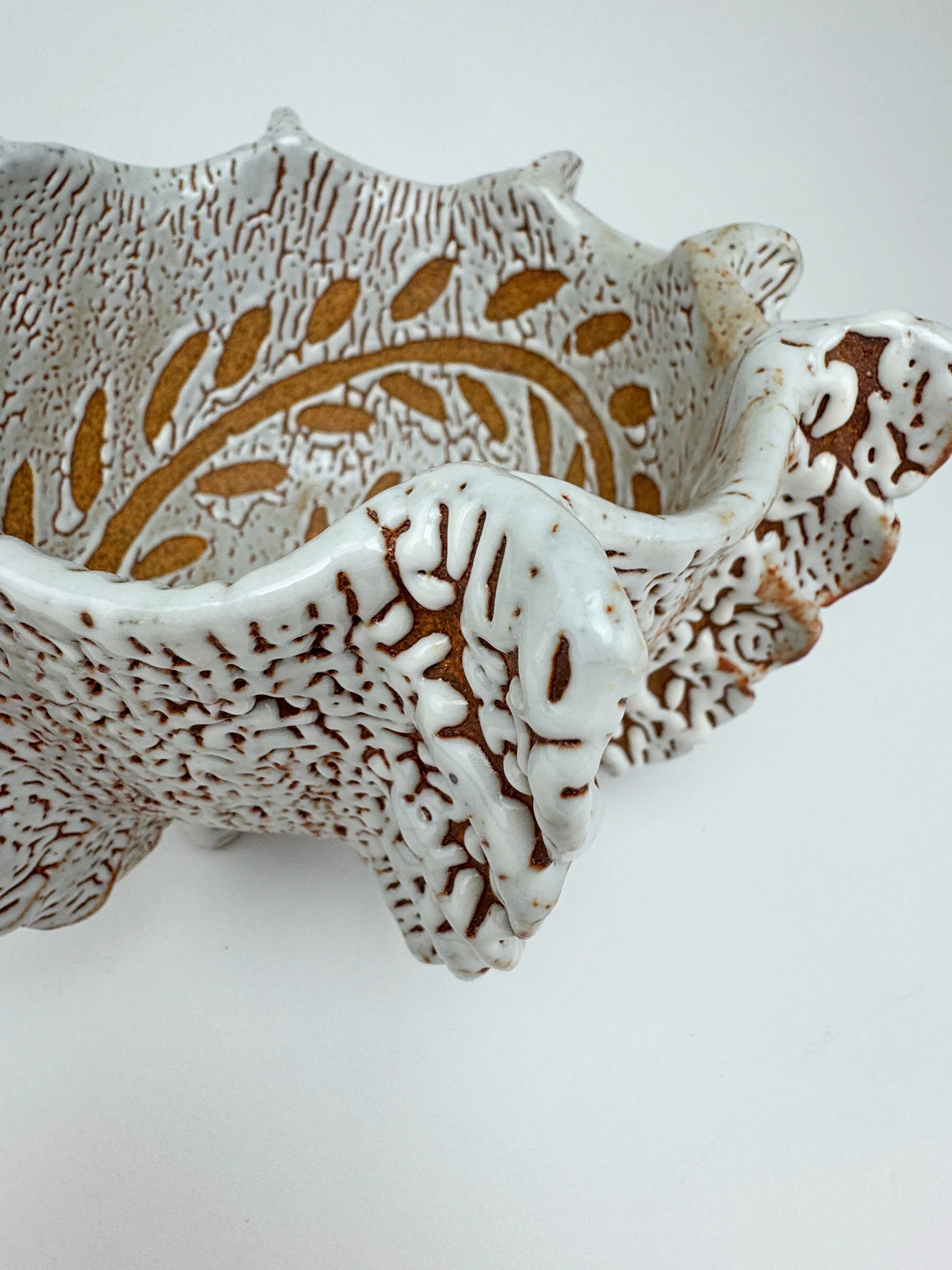 Reef II - Image 6