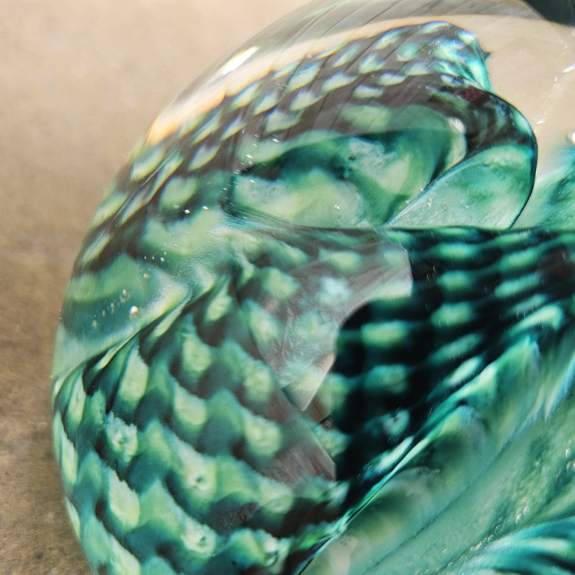 Reptile Puzzle - Image 3