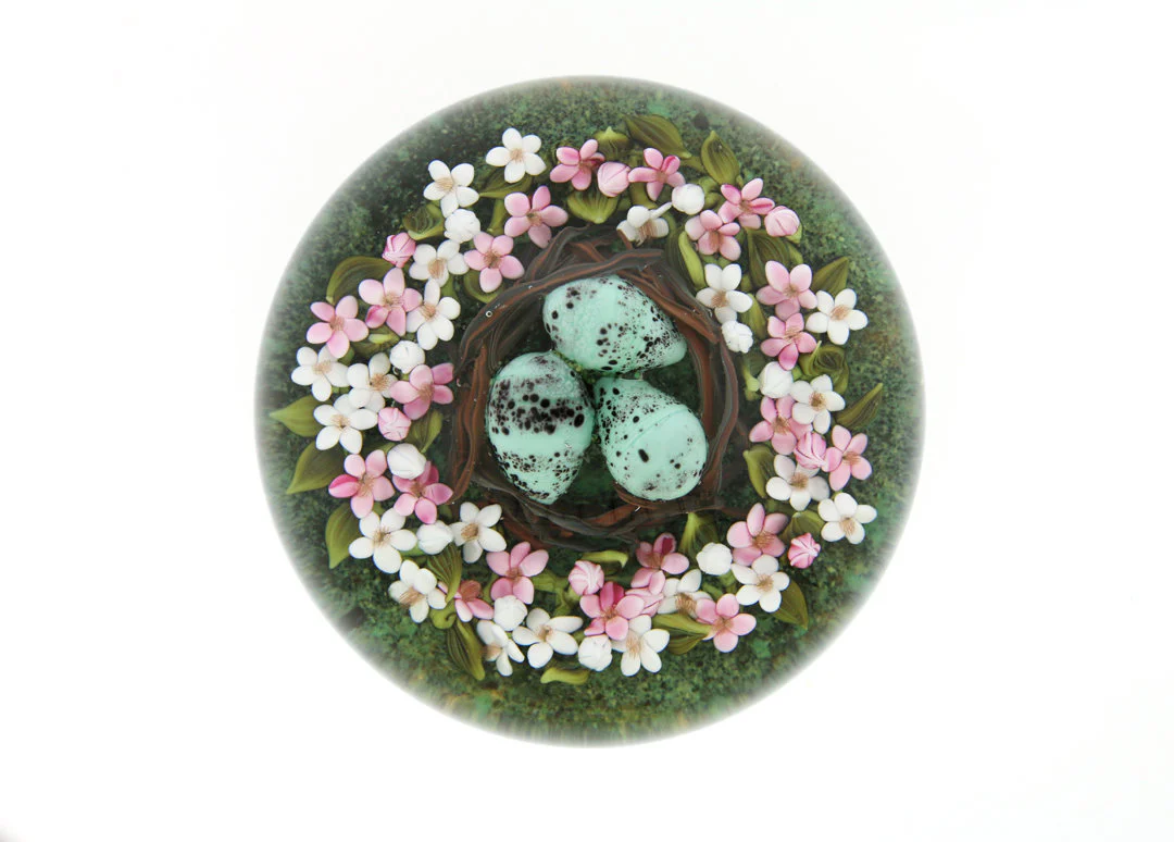 Robin's Eggs in Nest