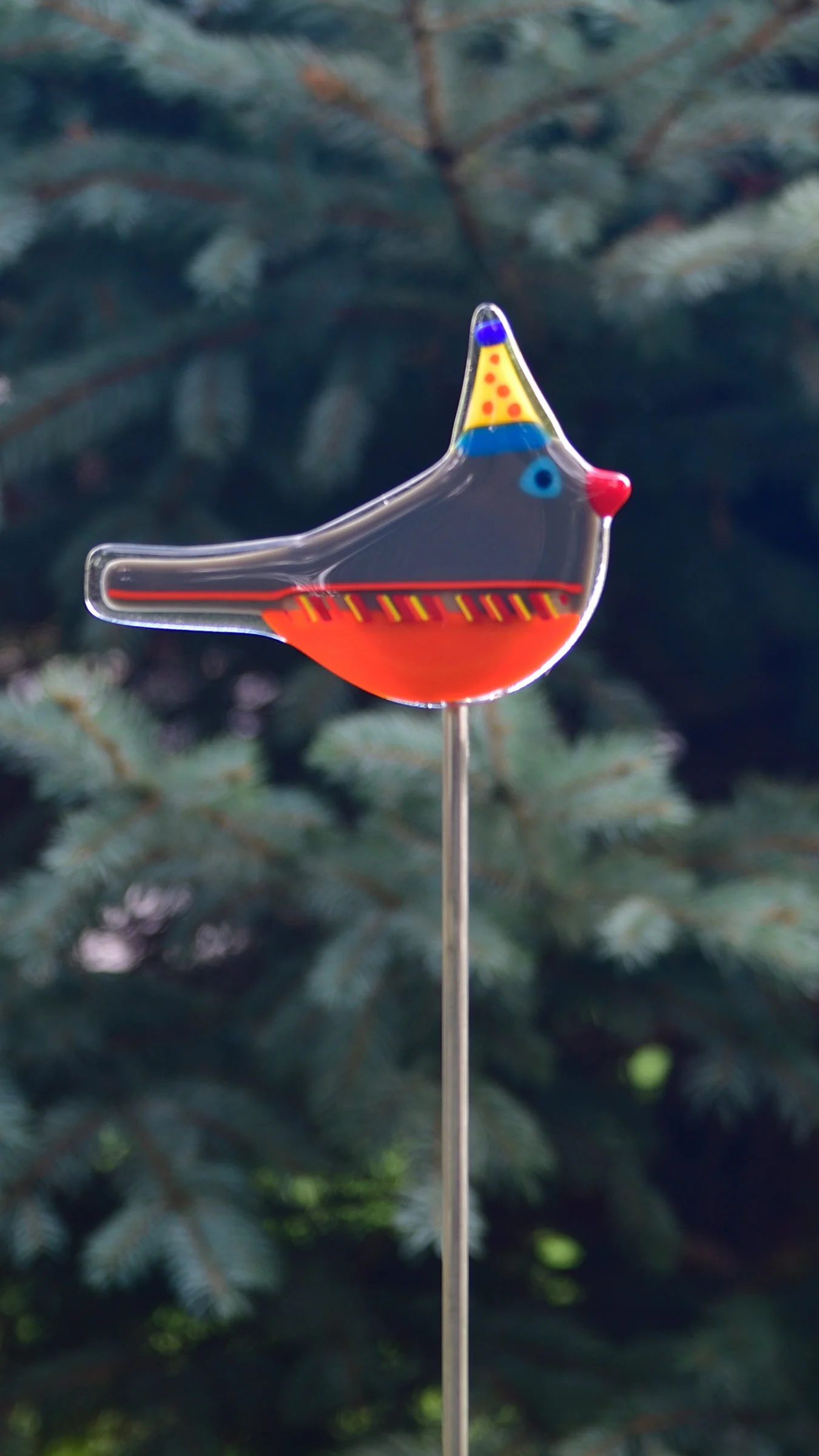 Royal Garden Party - Royal King - 26"