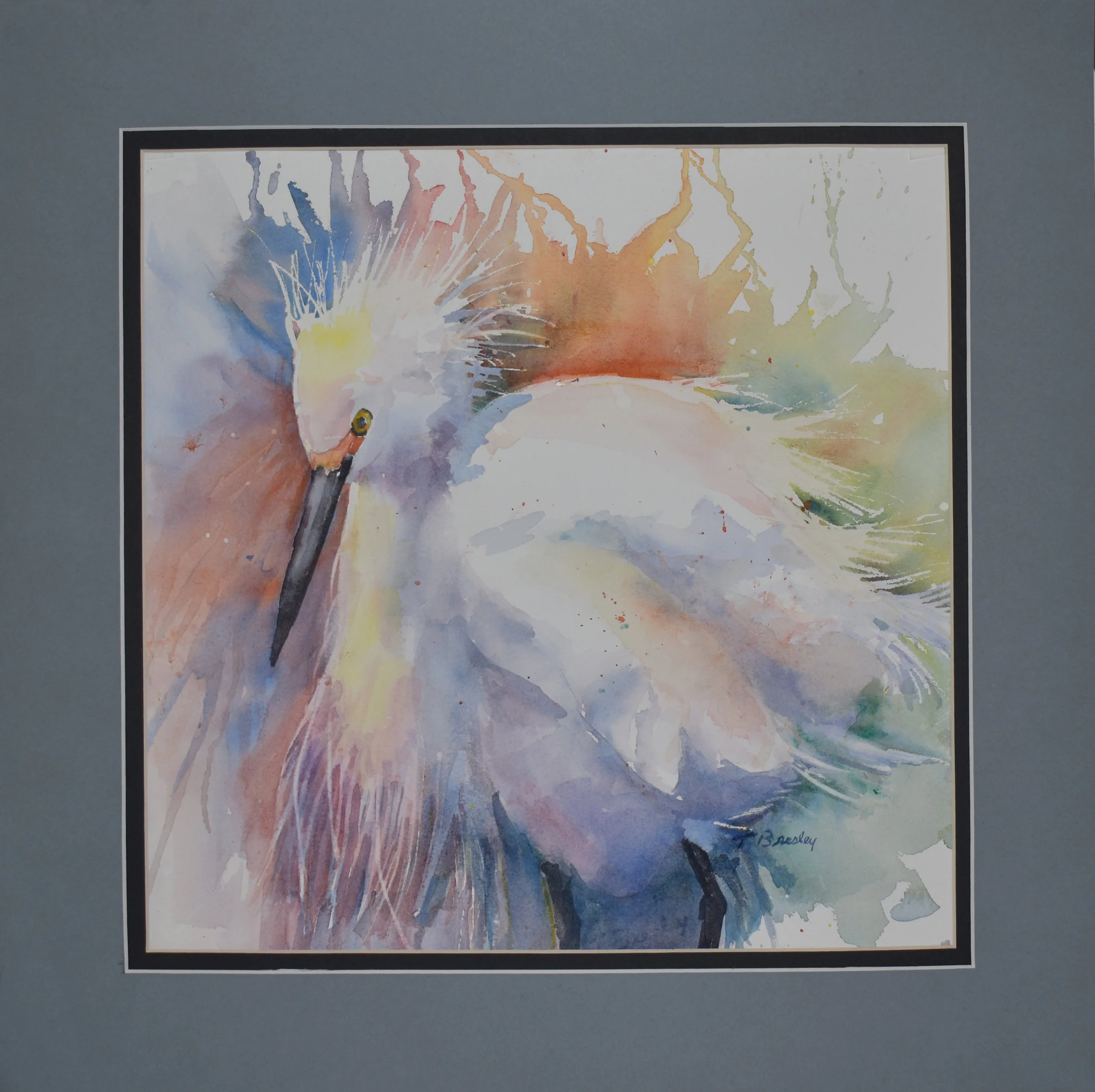Ruffled Feathers - Image 2