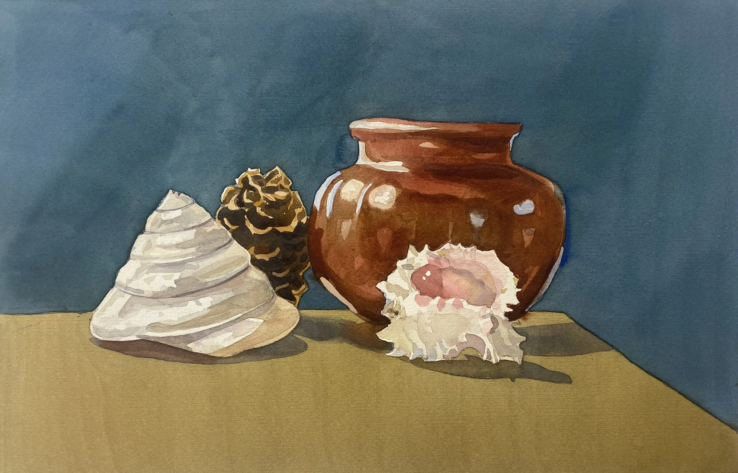 Seashell Still Life