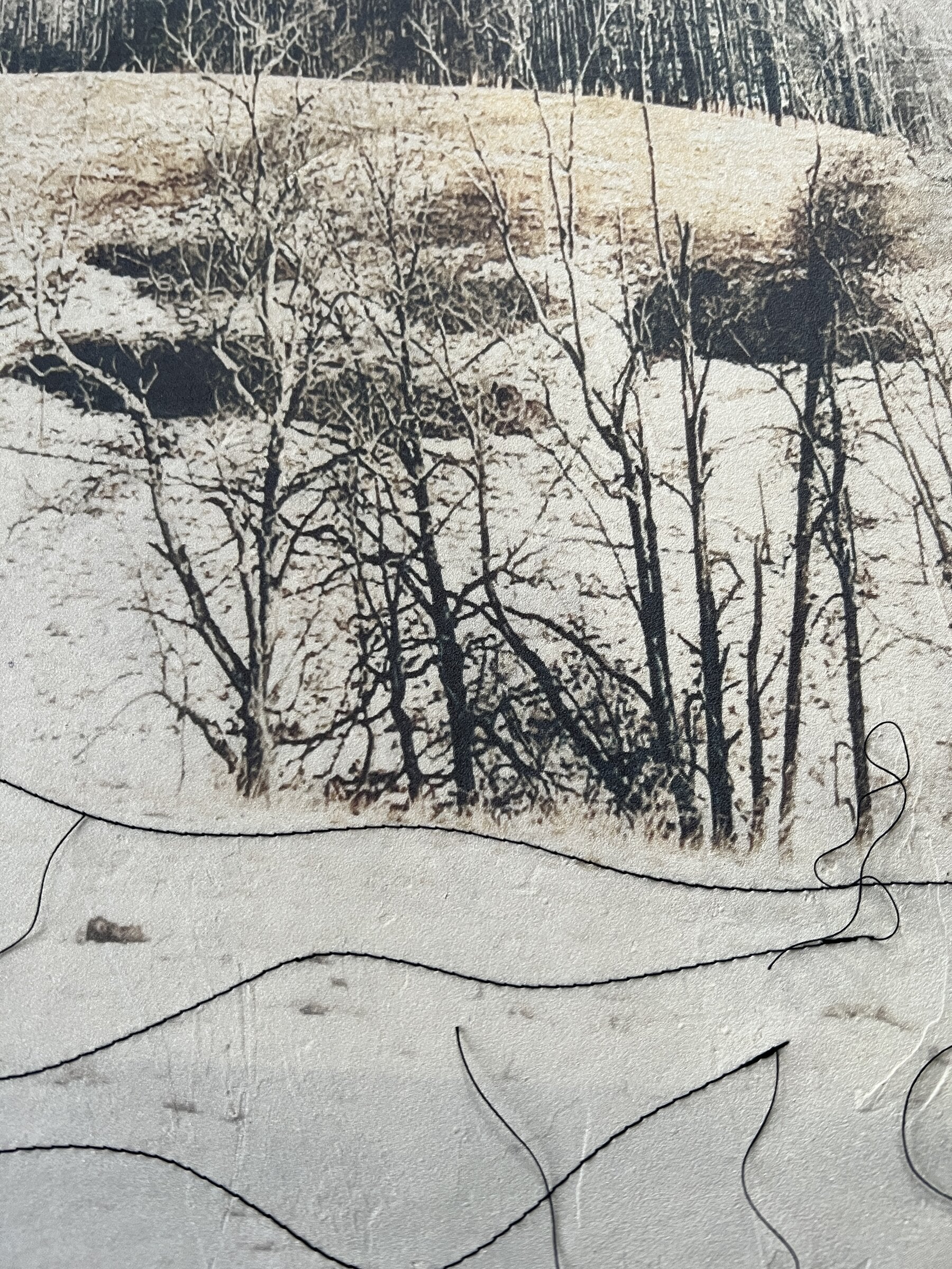 Silence of the Snow - Image 2