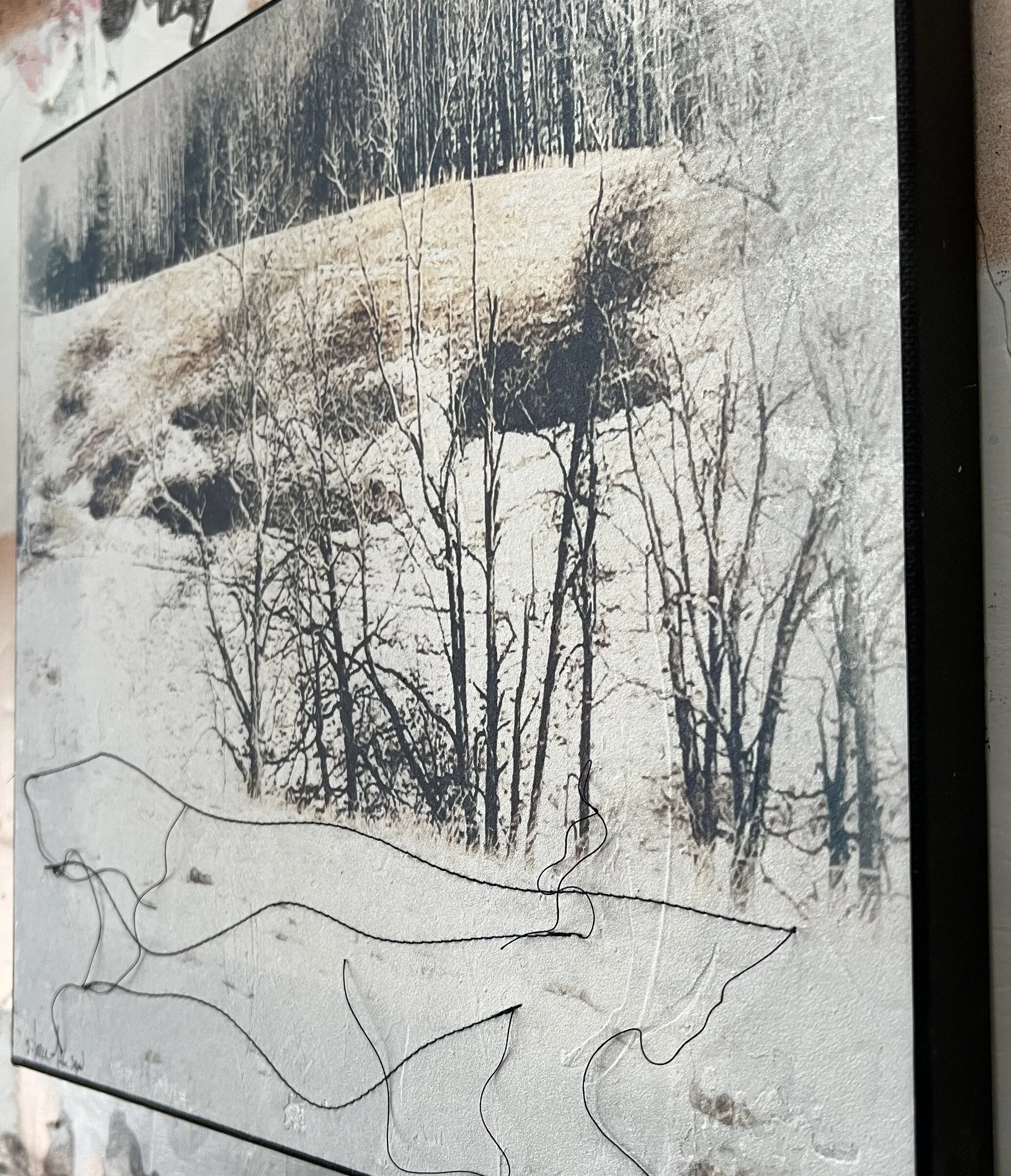 Silence of the Snow - Image 3