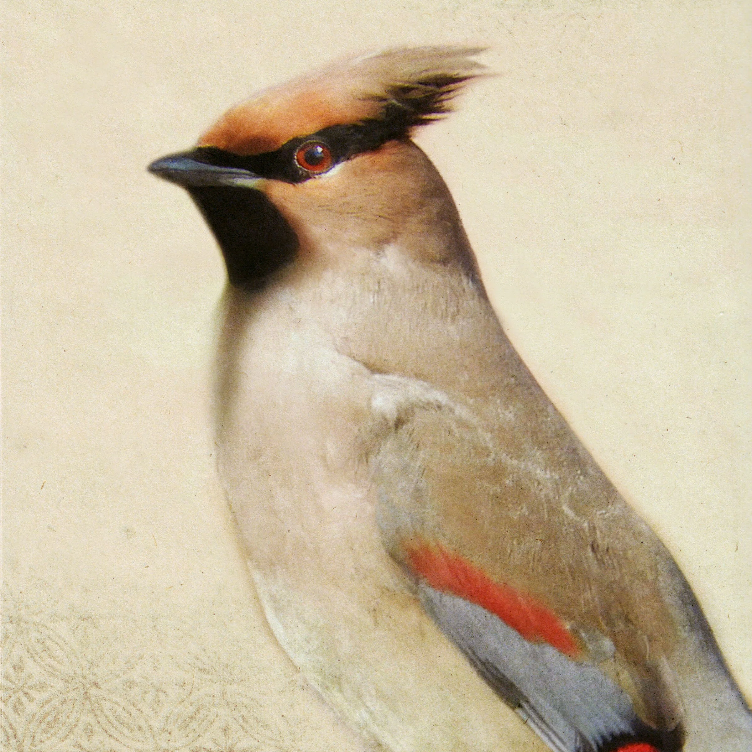 Song of a Waxwing - Large