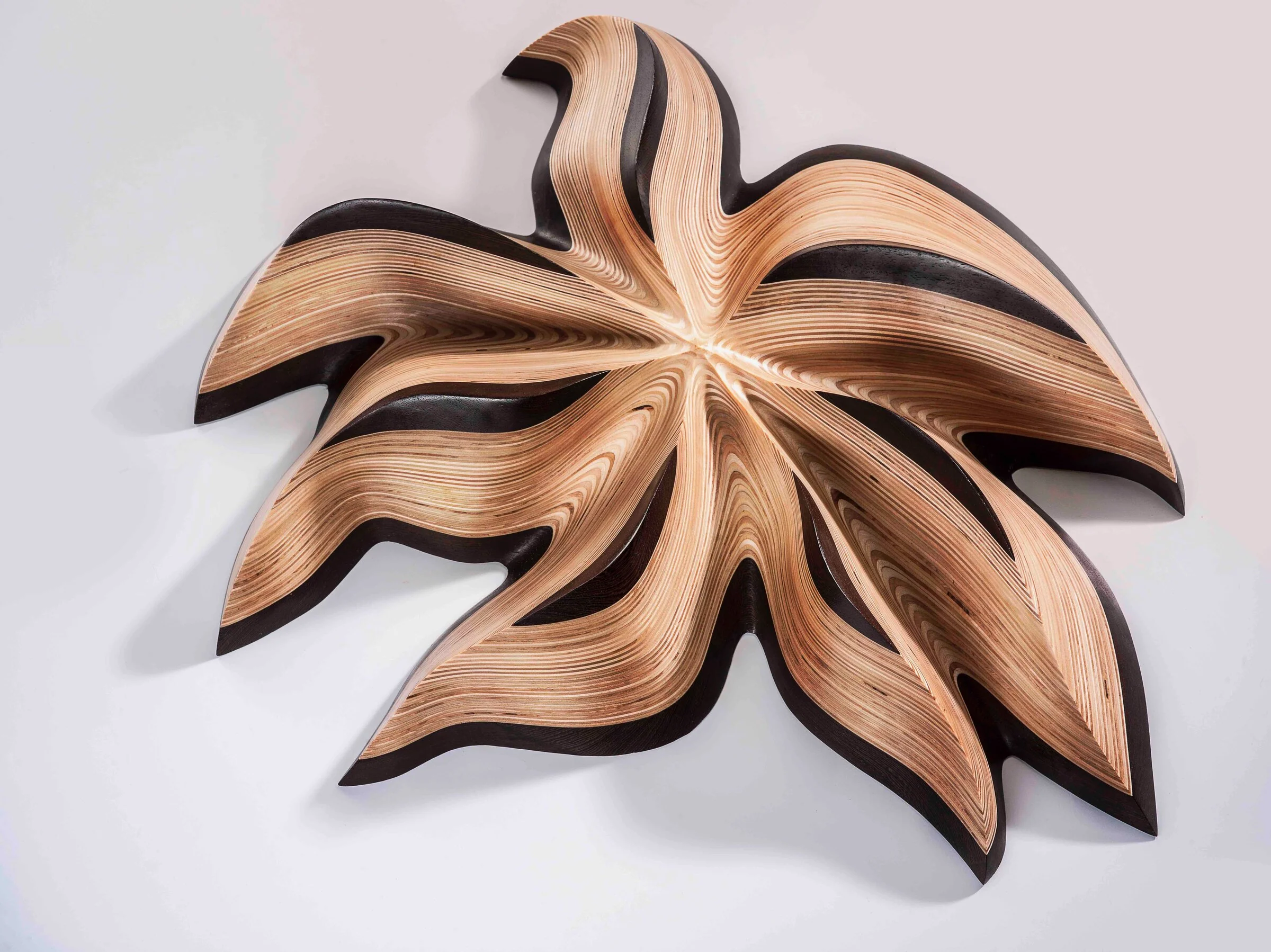 Starflower