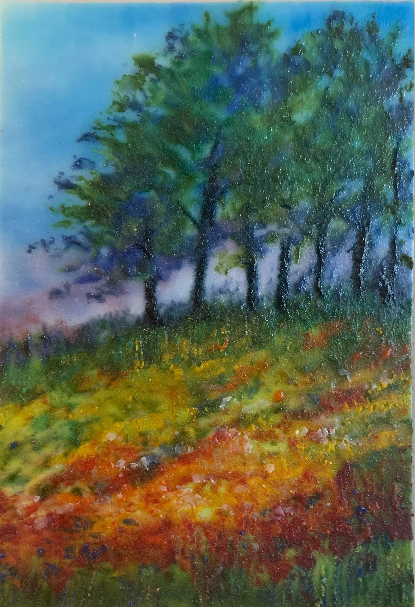 Summer Morning