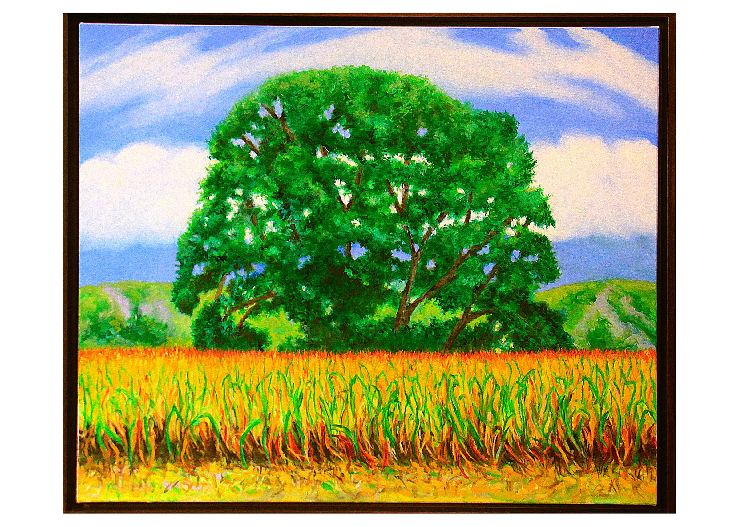 The Great Meadows - Image 2