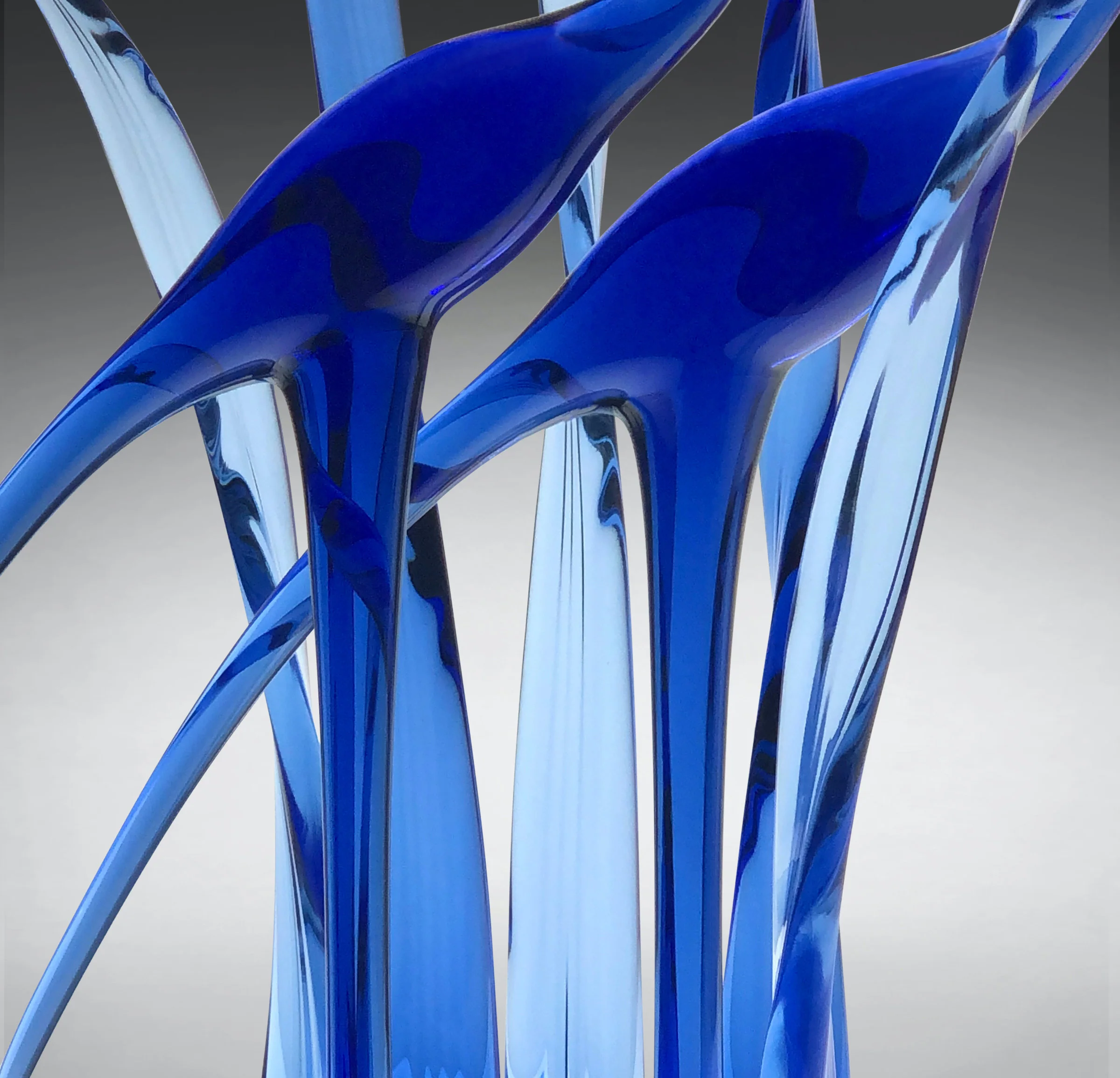 Together, Blue Waters - Image 2