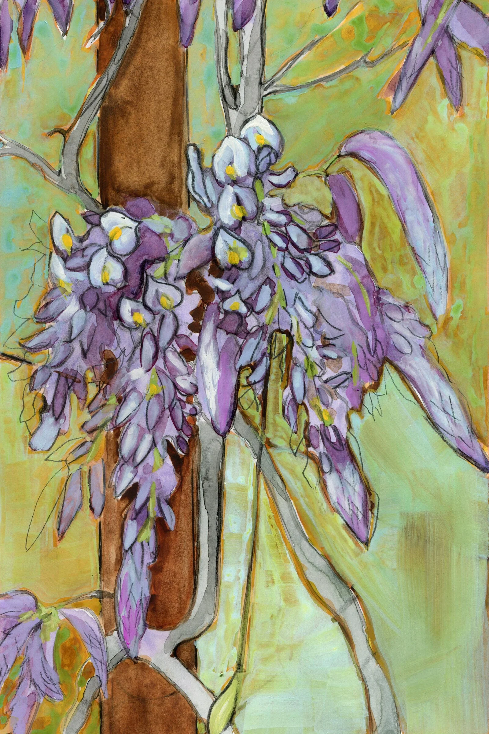 Wisteria