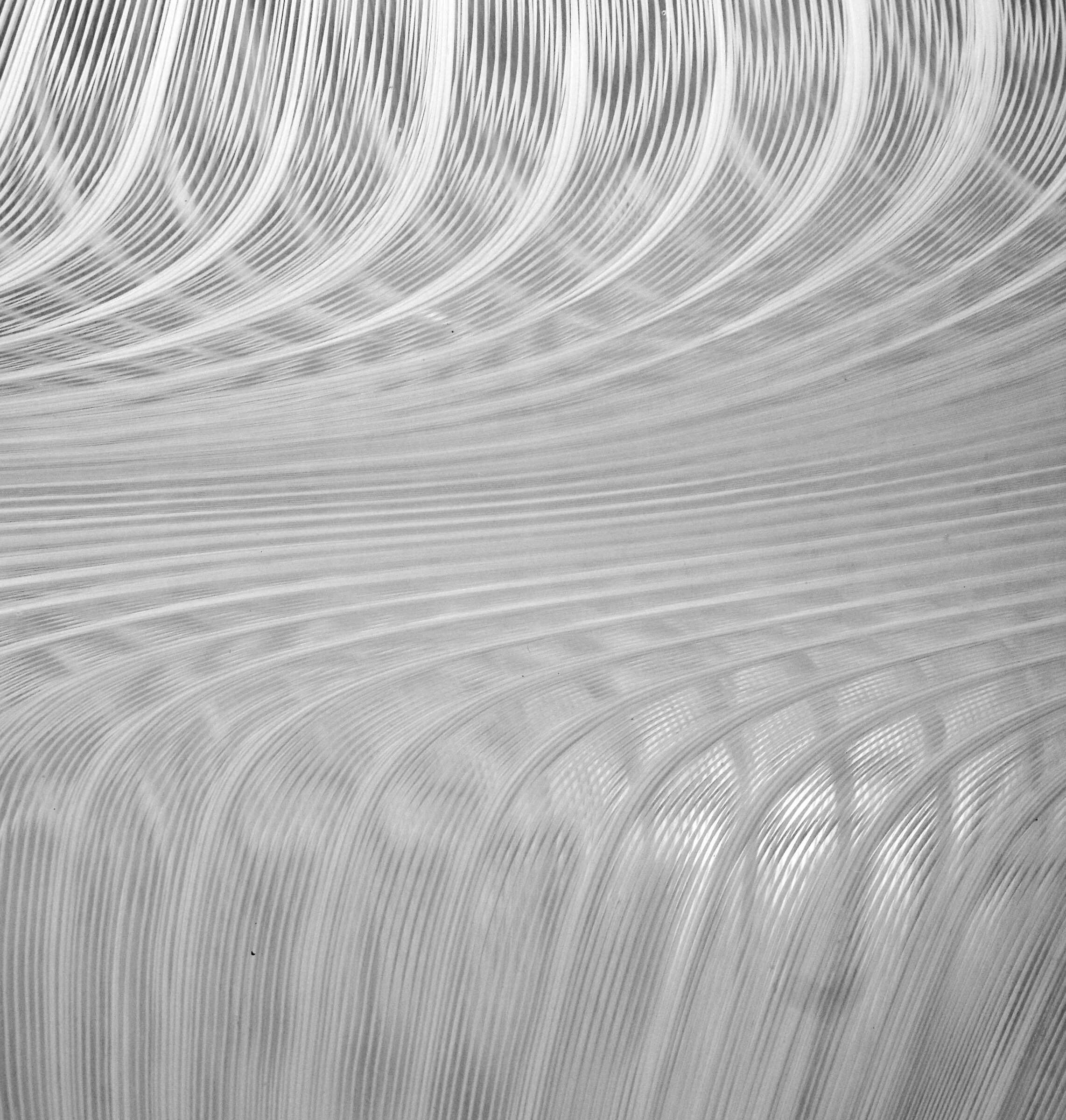 Zanfirico Twist Foglio - Image 6